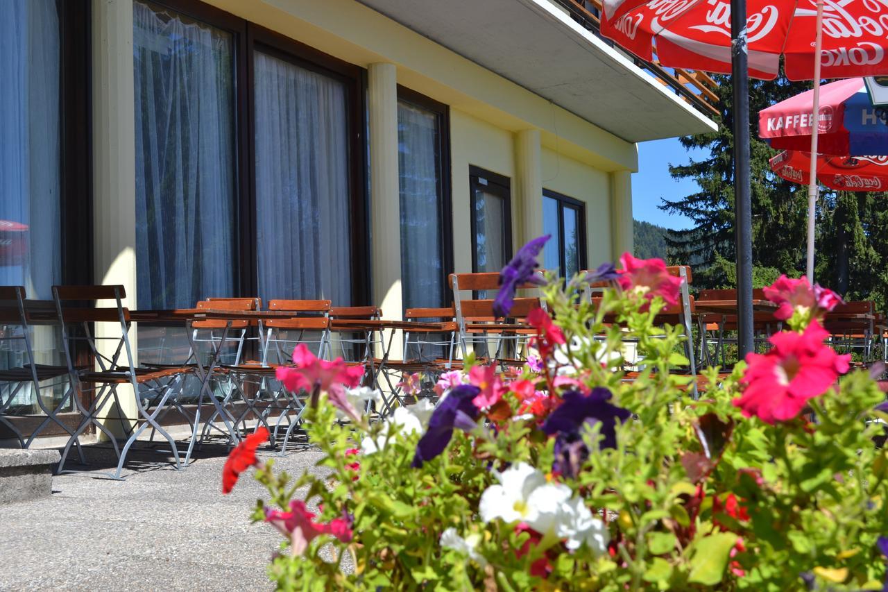 Hotel Alpinum Treffen Exteriér fotografie